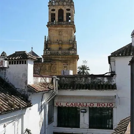 Lola5 Cordoba