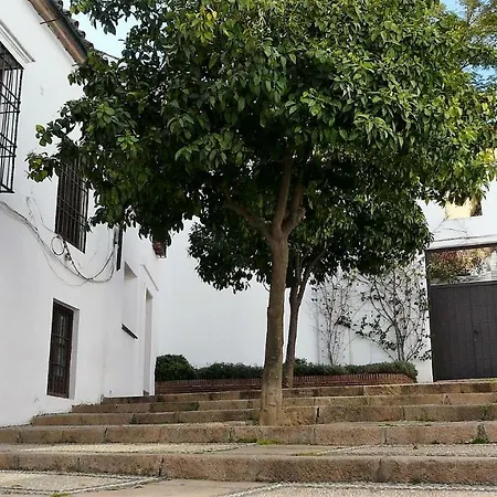 Lola5 Cordoba
