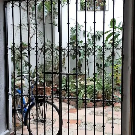 Lola5 Cordoba