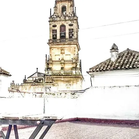 Lola5 Cordoba